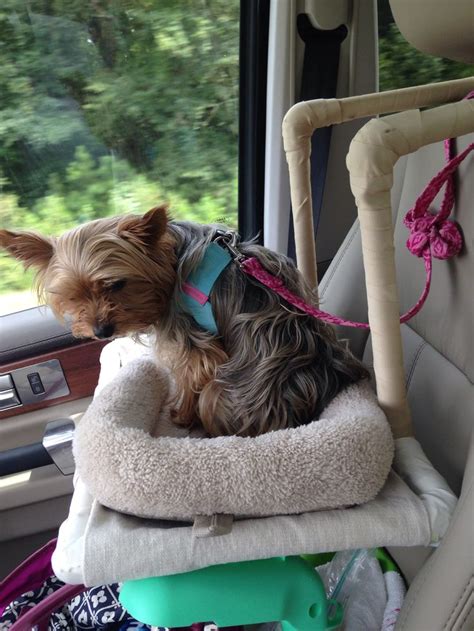 Kuryakyn 4199 the pet palace bag. Dog car seat made from PVC piping. She can see and be ...