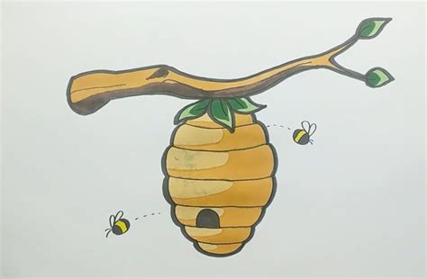 How To Draw A Bee 10 Easy Drawing Projects