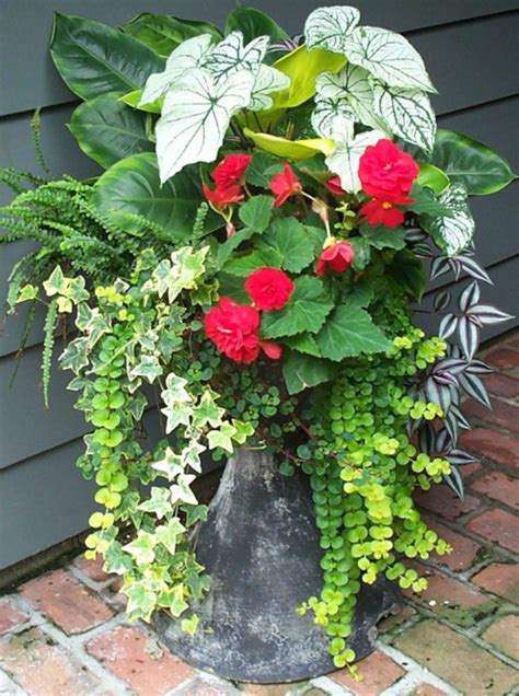 Creative Garden Container Pot Combinations And Tips