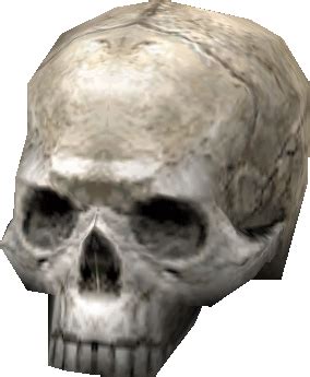 If you like, you can download pictures in icon format or directly in png image format. A Human Skull | SWG Wiki | FANDOM powered by Wikia