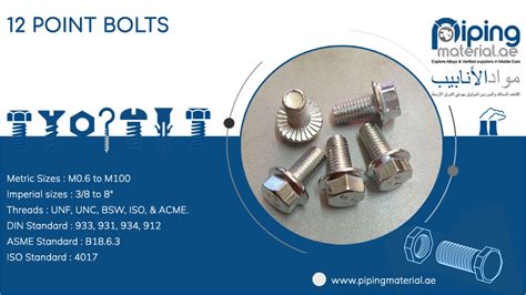 12 Point Bolts 12 Point Flange Bolt Suppliers In Uae