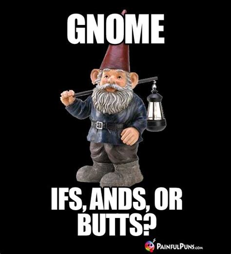 Gnome Ifs Ands Or Butts Funny Garden Gnomes Funny Gnomes Gnome Garden Garden Art Garden