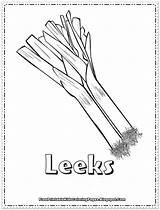 Coloring Colouring Leek Printable Onions Leeks Picolour Related sketch template
