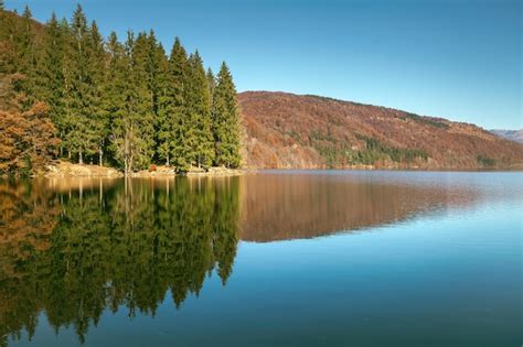 Premium Photo Spruce Trees On The Shore Of The Mountain Lake In