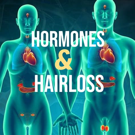 Female Hair Loss Hormonal Imbalance And Hair Loss