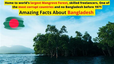 amazing interesting fun facts about bangladesh youtube daftsex hd