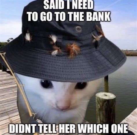 A Cat Wearing A Hat With Feathers On It S Face And Caption That Reads