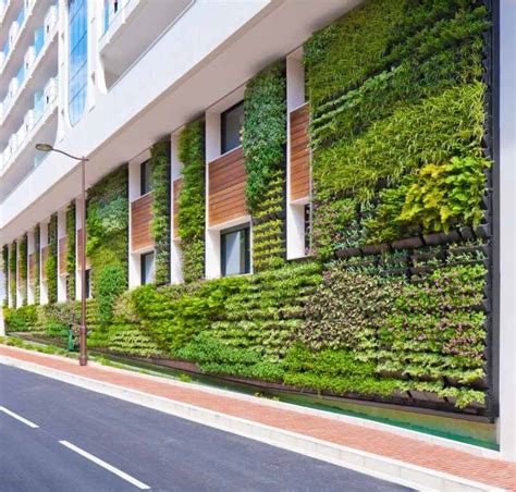 Are Green Walls Ecologically Sustainable Srs Group