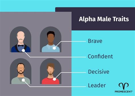 How To Become An Alpha Male In 18 Easy Lessons Respectprint22