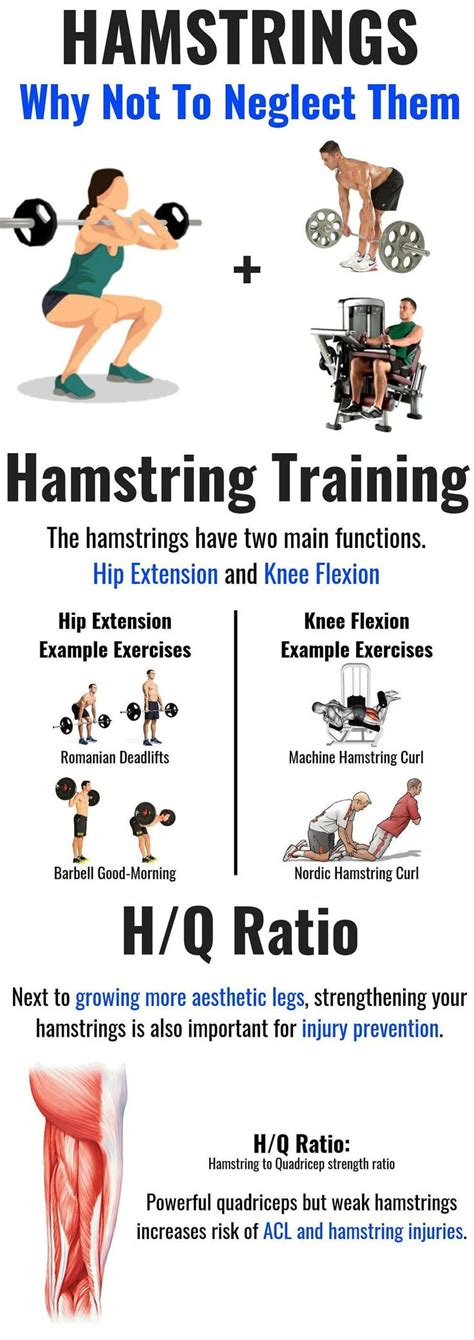 hamstrings workout improve hamstring strength and definition hamstring