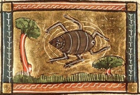 The Wonderful World Of Medieval Insects In 2020 Medieval Art