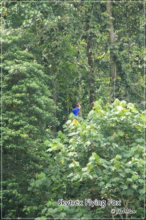 Skytrex adventure, shah alam, malaysia. ~新月妈咪的无聊部落格~: Skytrex Flying Fox @ Taman Pertanian, Shah Alam