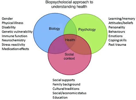The Biopsychosocial Model Of Health Source Download High