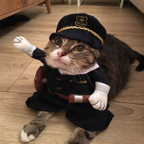 Adorable Cop Police Cat Costumes For Halloween Available At The Crazy