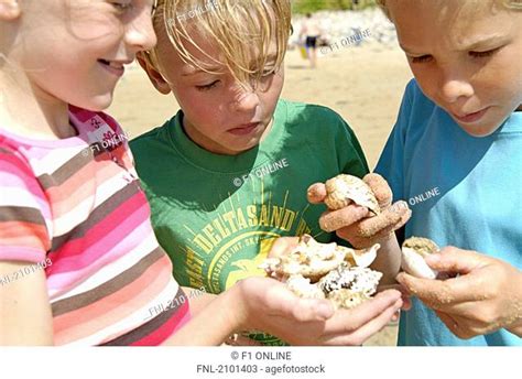 Kid Showing Shells Stock Photos And Images Agefotostock