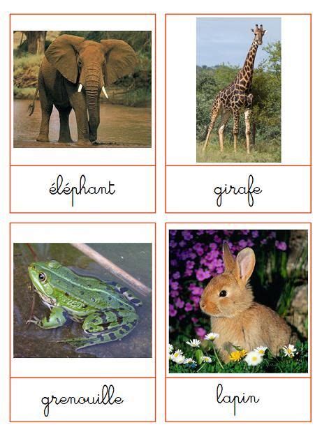 Téléchargement Imagier Animaux Cartes Animaux Carte Montessori