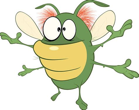Best Cartoon Of A Ugly Insect Illustrations Royalty Free