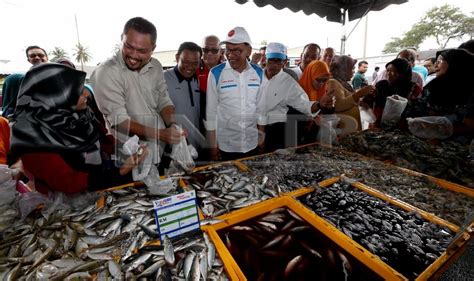 We did not find results for: Bila saya buat, kena marah saja - Anwar | Politik | Berita ...