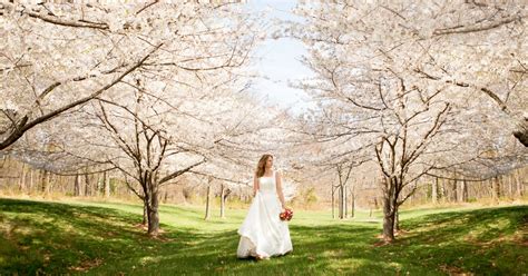 50 Top Places To Take Wedding Photos In The Usa Artsy Couture