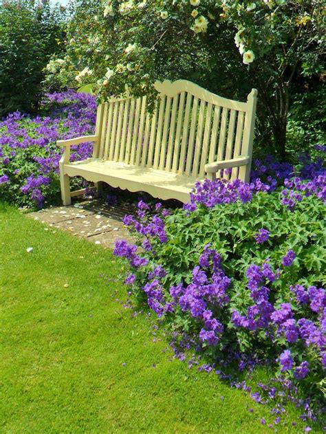 Bench With Roses And Purple Flowers Shugborough Hall