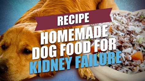 Feeding dogs with kidney disease. Homemade Dog Food for Kidney Failure Recipe (Healthy and ...