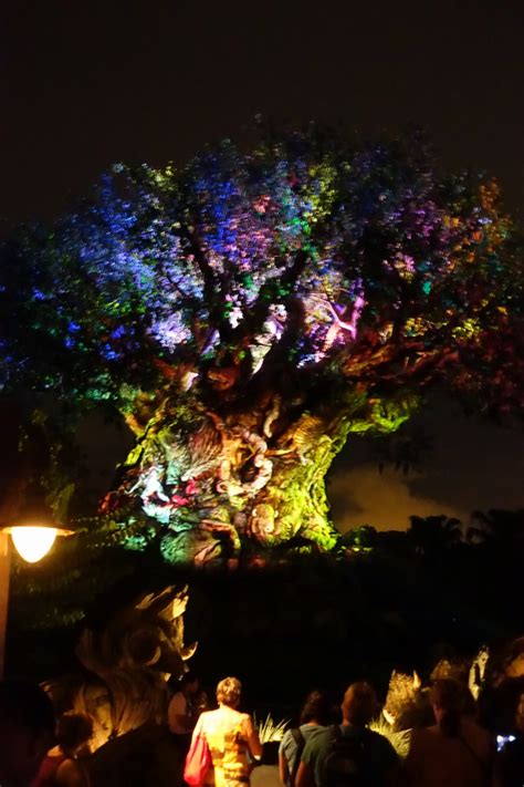 Review Tree Of Life Awakenings At Disneys Animal Kingdom