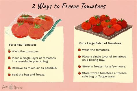 Maybe you would like to learn more about one of these? Recipe For Freezing Ripe Tomatoes | Deporecipe.co