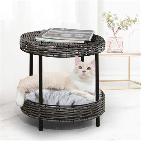Reimar Pe Rattan Cat Bed Temple And Webster