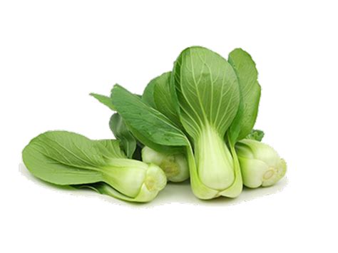 Bok Choy Png Transparent Images Png All