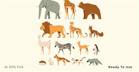 Animal Illustration Set By Pitchlook On Envato Elements