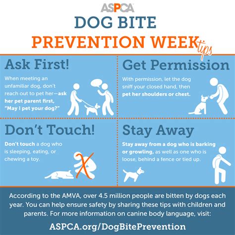 Dog Bite Prevention Tips For Owners And Dog Lovers