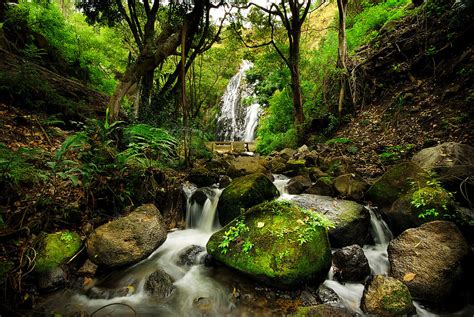 Peaceful Forest Waterfall Decorate With A Wall Mural Photowall