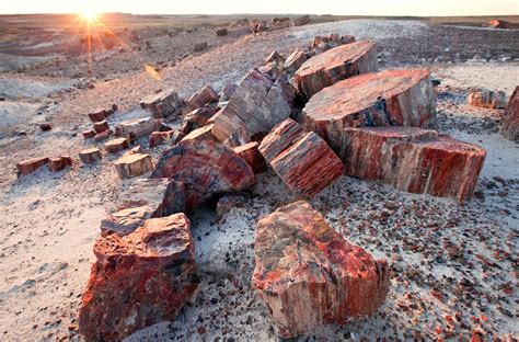 Petrified Forest National Park Travel The Southwest Usa Lonely Planet