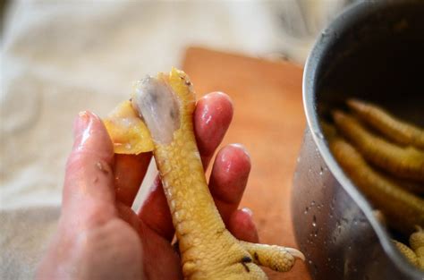 Chicken Feet Why You Need Them In Your Diet And How To