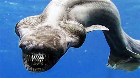 10 Deep Sea Creatures You Dont Want To Meet Youtube