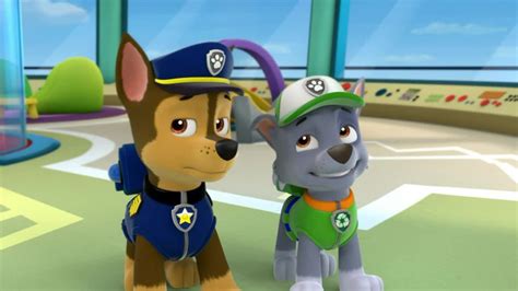 Paw Patrol Campus Life Chapter 28 Hated Wattpad