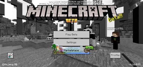 Bedrock Edition Beta 116055 Official Minecraft Wiki