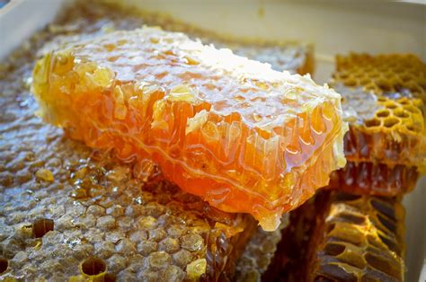 Organic Raw Honey From Mariovo Region In Macedonia Macedonia Nature