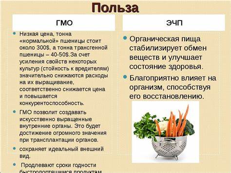 Плюсы и минусы бессолевой диеты Плюсы И Минусы Диеты Сочинение – Telegraph Плюсы И Минусы Диеты Сочинение – Telegraph Плюсы и минусы бессолевой диеты