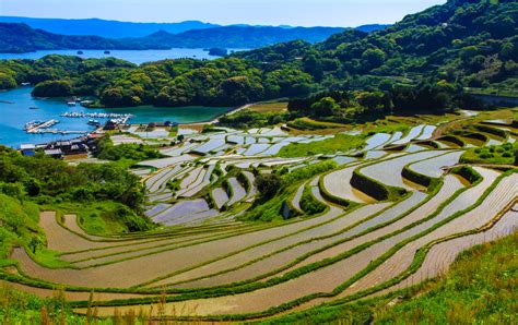 Oura Terraced Rice Fields Travel Japan Japan National Tourism