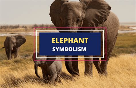 Meaning And Symbolism Of Elephants Symbol Sage