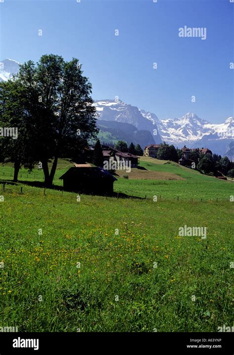 Village Of Wengen Region Of Bernese Highland Swiss Alpes Canton Of