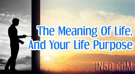 The Meaning Of Life And Your Life Purpose In5d Esoteric