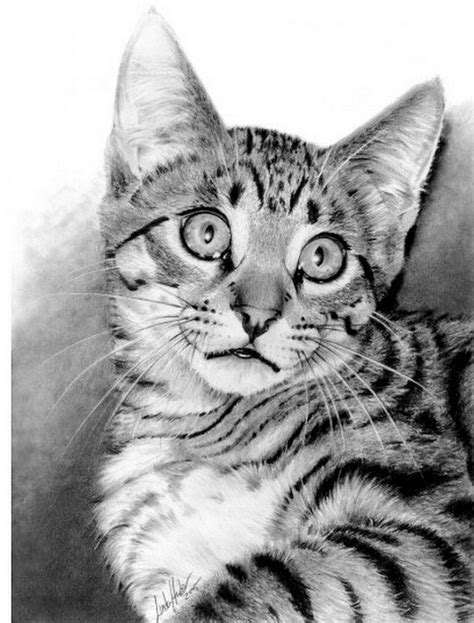 Next may be the image about dibujos de gatos faciles a lapiz that you could create an insight. Pin on Animals