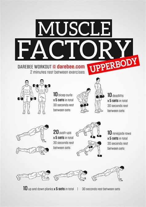 Muscle Factory Upperbody Workout Dumbell Workout Bodyweight Workout Strength Workout