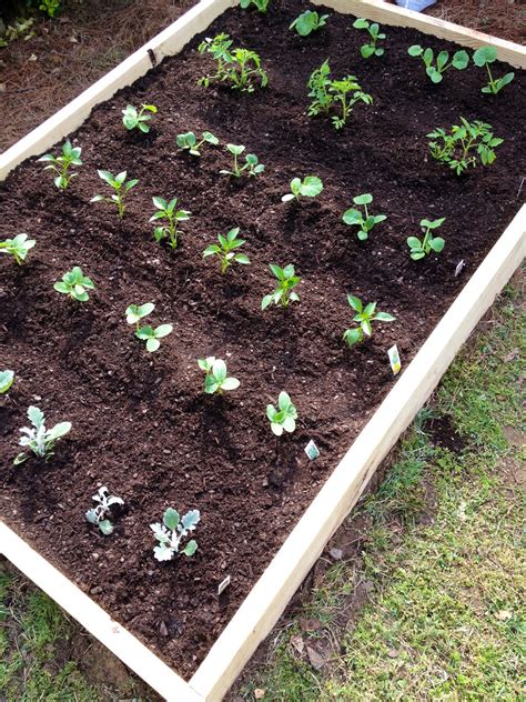 Not So Newlywed Mcgees Diy Raised Garden Bed