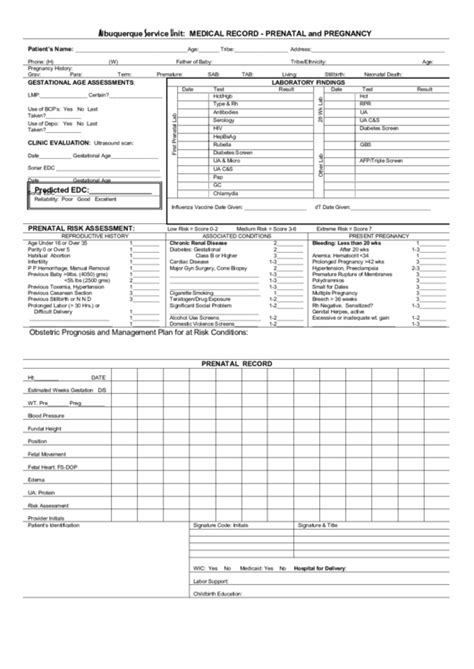 Medical Record Form Prenatal And Pregnancy Printable Pdf Download