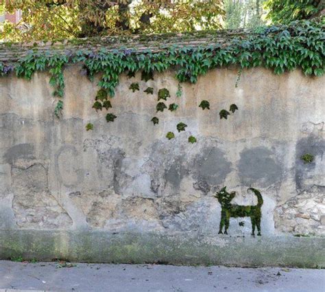 1001 Idées Pour Un Art Végétal Avec Des Graffiti En Mousse Graffiti