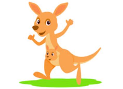 Download High Quality Kangaroo Clipart Joey Transparent Png Images