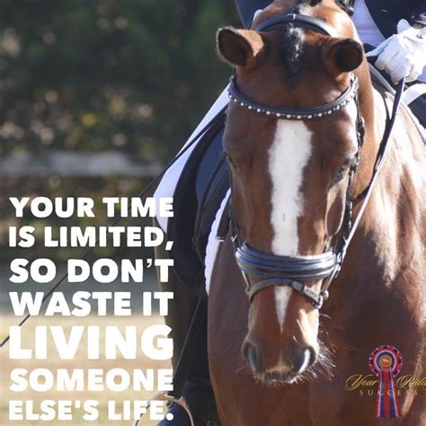 And that's when you know you've found what you truly love. Edit Media ‹ Dressage Mastery — WordPress | Horse quotes ...